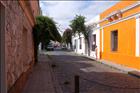 3 Colonia